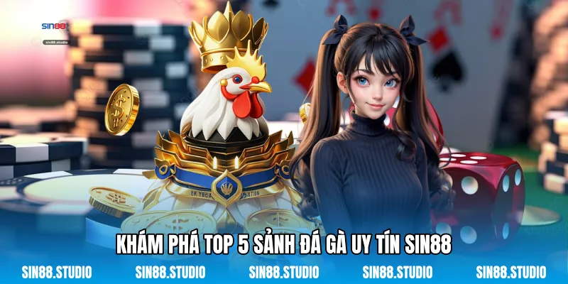 Top 5 Sảnh Đá Gà Uy Tín - Cá Cược Truyền Thống Đỉnh Cao 3 Khám Phá Top 5 Sảnh Đá Gà Uy Tín Sin88