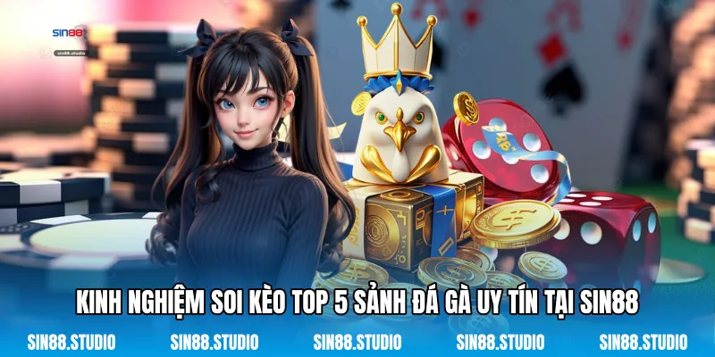 Top 5 Sảnh Đá Gà Uy Tín - Cá Cược Truyền Thống Đỉnh Cao 4 Kinh Nghiệm Soi Kèo Top 5 Sảnh Đá Gà Uy Tín Tại Sin88